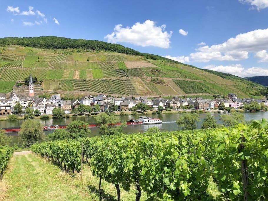 Ferienhaus Schwanennest Zell an der Mosel Luaran gambar